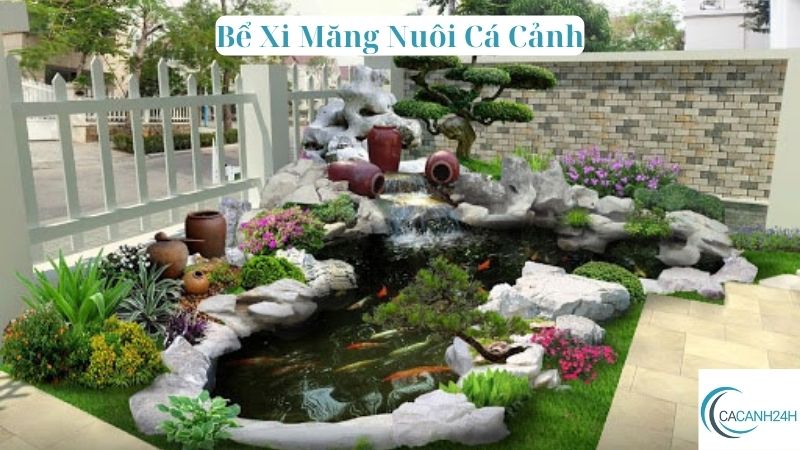 Bể Xi Măng Nuôi Cá Cảnh