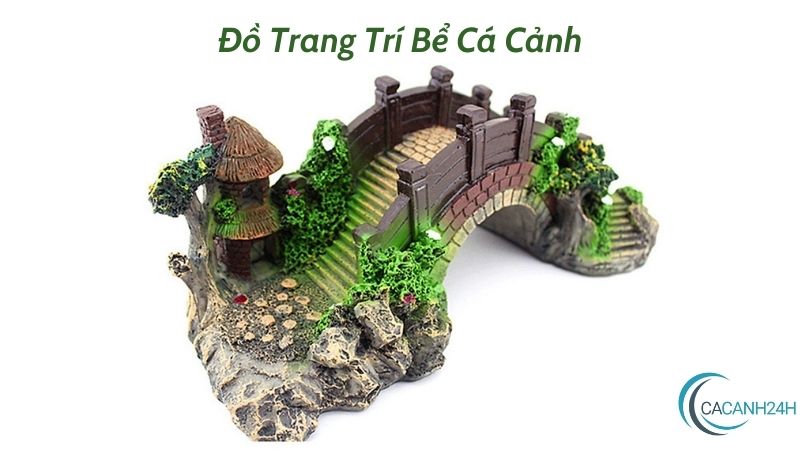 Đồ Trang Trí Bể Cá Cảnh