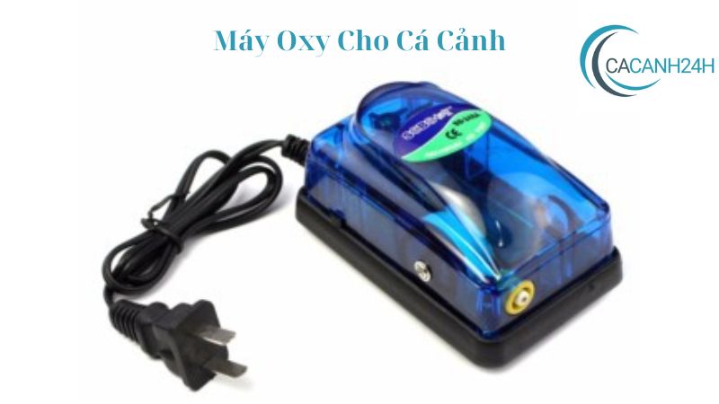 Máy Oxy Cho Cá Cảnh