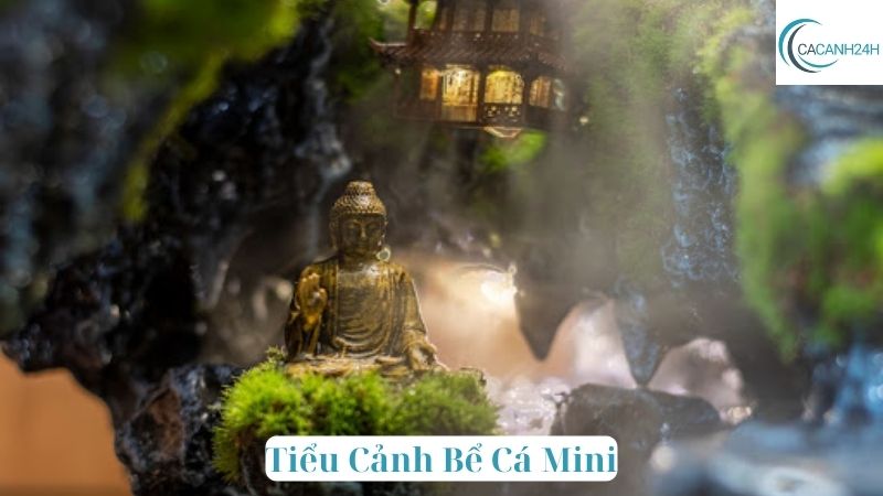 Tiểu Cảnh Bể Cá Mini