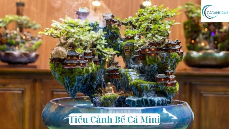 Tiểu Cảnh Bể Cá Mini