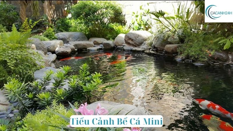 Tiểu Cảnh Bể Cá Mini