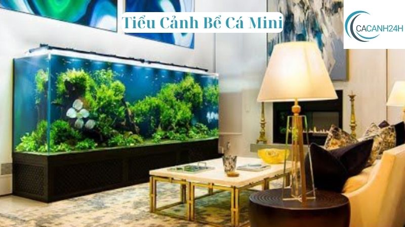 Tiểu Cảnh Bể Cá Mini